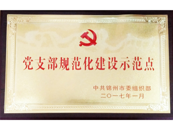  2017黨支部規(guī)範化建設(shè)示範ポイント