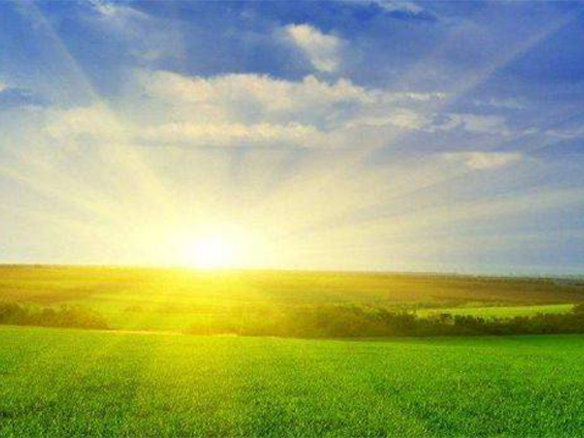 2020H1，錦州陽光戮力同心、運營達滿產(chǎn)